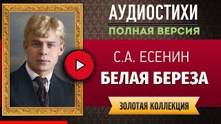 БЕЛАЯ БЕРЕЗА ЕСЕНИН С.А. аудиостих, слушать #стихи классиков, красивый #стих