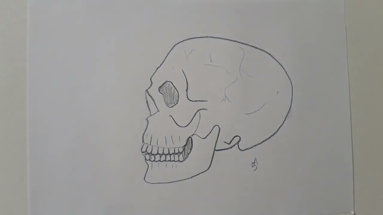 Como desenhar um crânio - Curso de Desenho - Eu que Desenhei