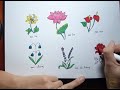 Vẽ hoa lá đơn giản - How to draw simple flowers and leaves