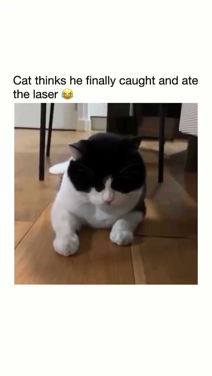 Bro thinks he really got the lazer he said yeah this too tuff twin