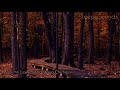 Autumn Leaves and Wind Chimes – 10 Hour Soundscape for Sleep, Meditation, Ambience, Relaxation