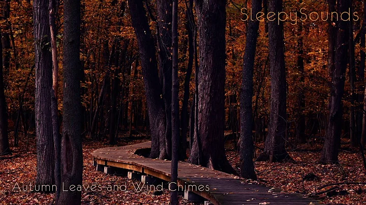 Autumn Leaves and Wind Chimes – 10 Hour Soundscape for Sleep, Meditation, Ambience, Relaxation