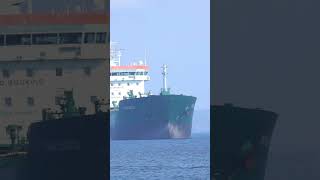 The $5 Trillion Ocean Trap 🌍