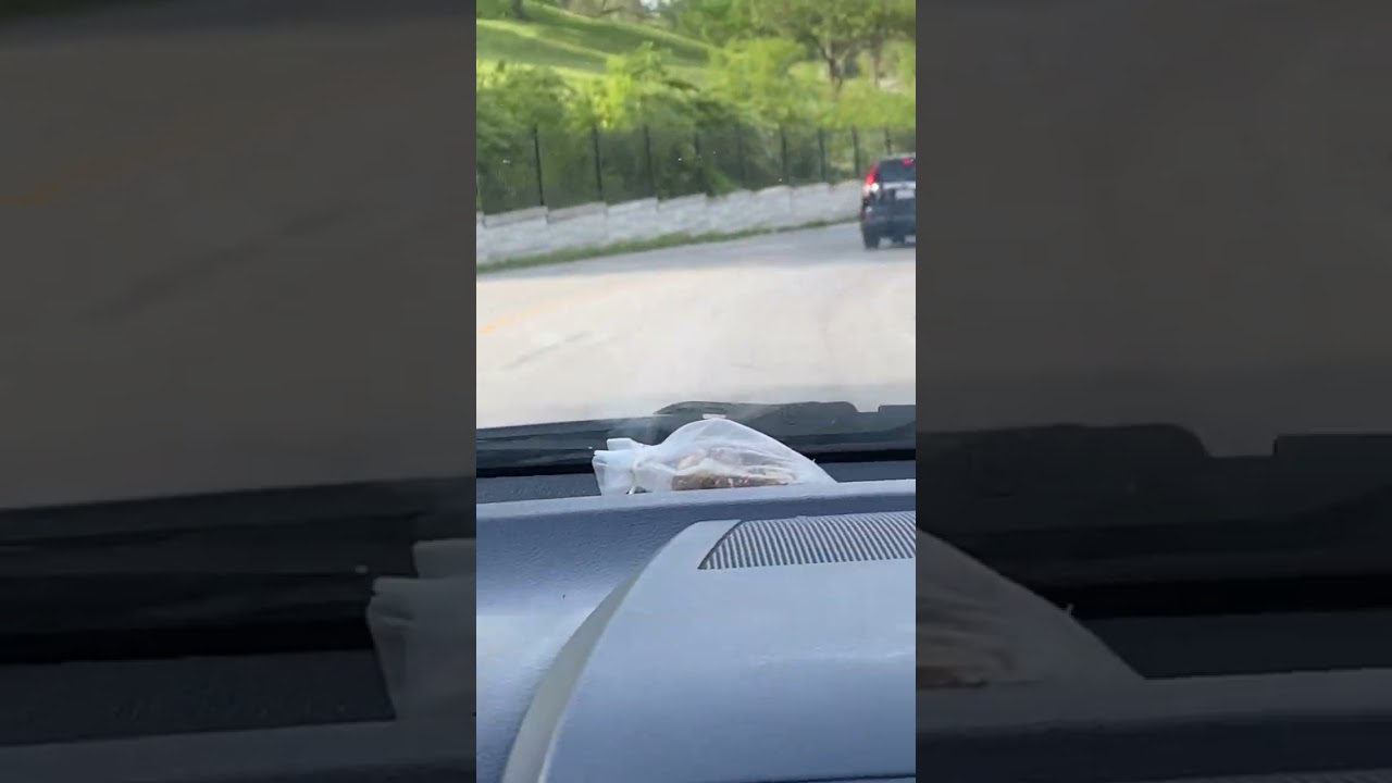 Up to no good neighbor