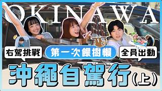 沖繩南部自駕超瘋！魚市場海鮮大豐收，還有這地方能摸可愛動物？｜麻瓜出遊