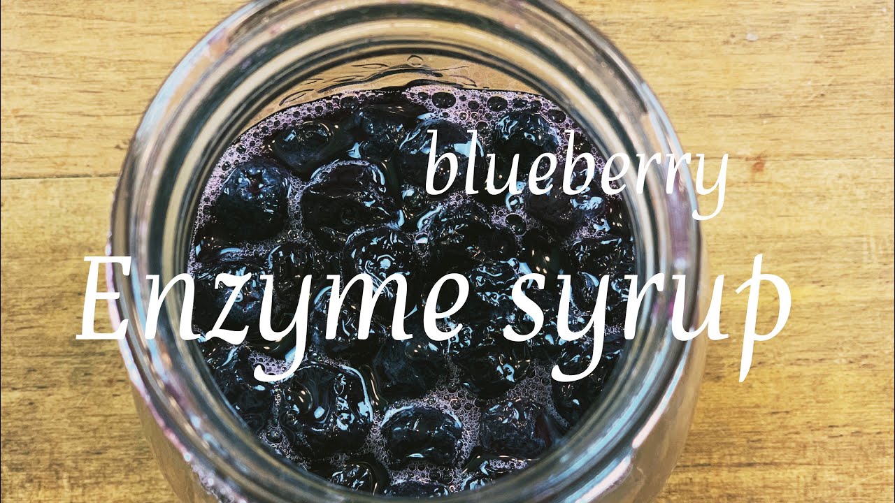 ブルーベリー酵素シロップ Youtube