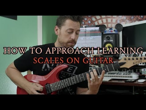 How to Approach Learning Scales on the Guitar - YouTube
