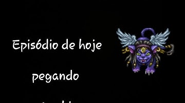 TIBIAME RIXESTER PET SPHINX