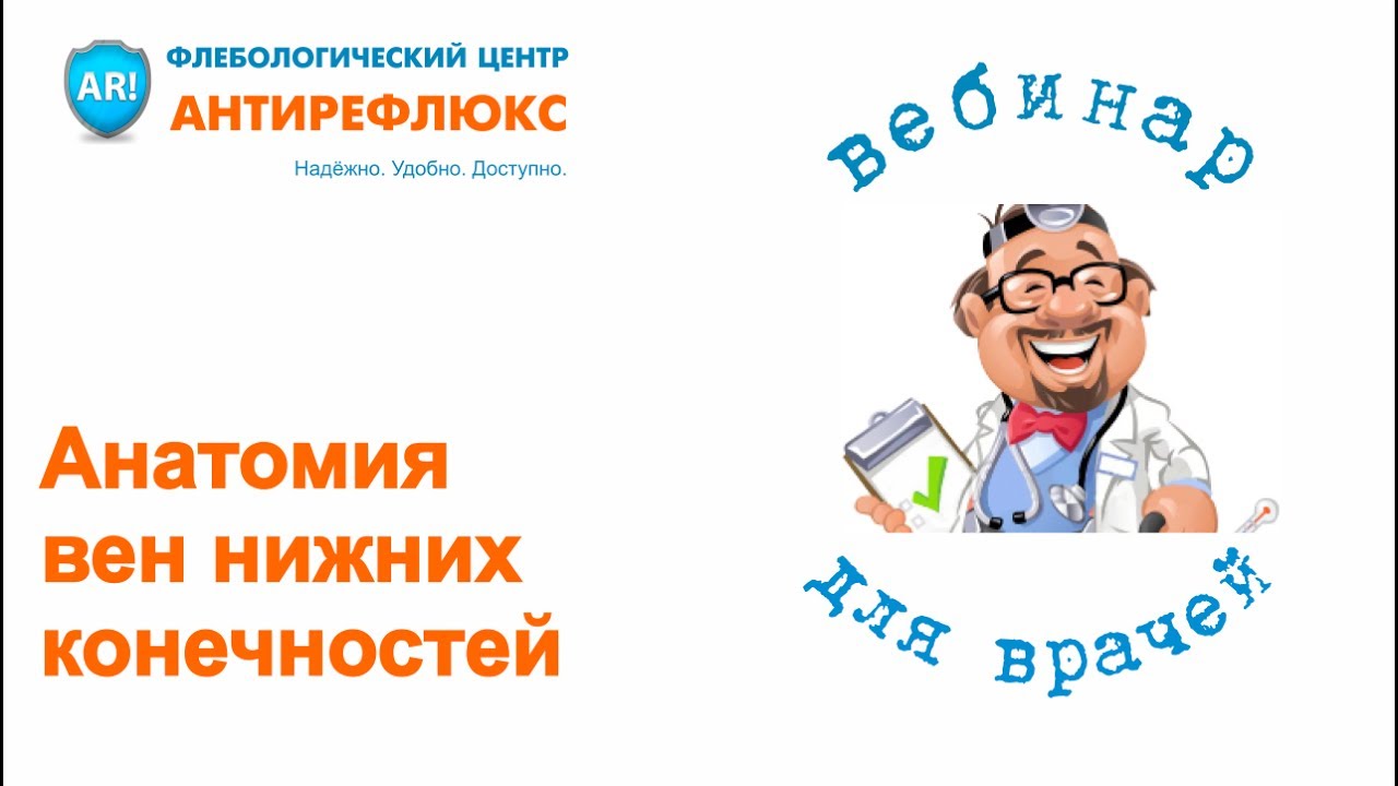 Вебинар Анатомия вен нижних конечностей