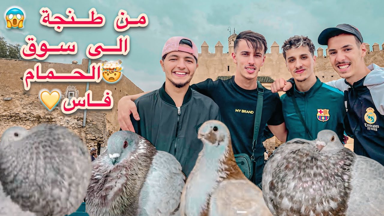 من مدينة طنجة إلى فاس 🤯 مشيت السوق الحمام وطيور فاس باب الكيسة 😍 أجيو تشوفو شكون تلقيت 🤔