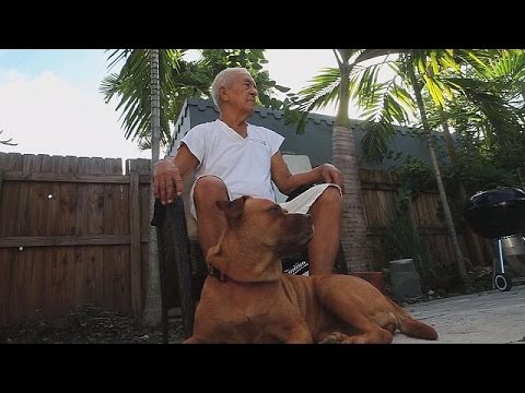 Video: Haftanın Köpeği Baş Aşağı - Philly