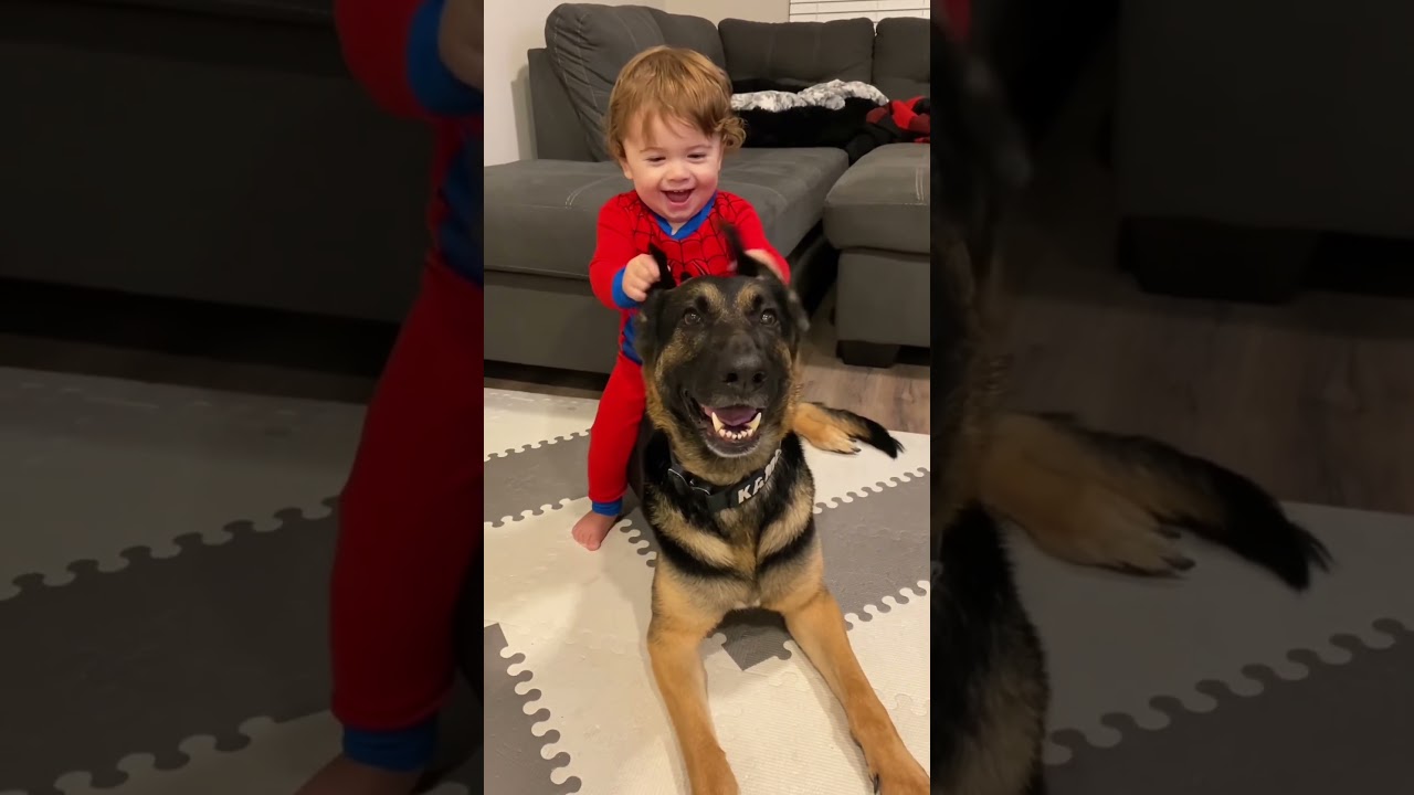 #pets #funnyanimals #funny
