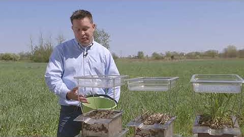 Soil Management Practices | Rainfall Simulator | Bayer