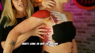 This One Nerve Controls Your Serratus Anterior