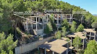 El Bosque 06