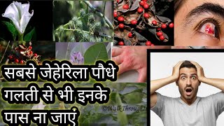 Most poisonious plant in the world | Dangerous plants & trees |Most poisonious plant in India/Deadly