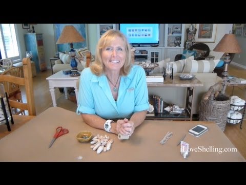 فيديو: كيفية صنع مجوهرات الصدف