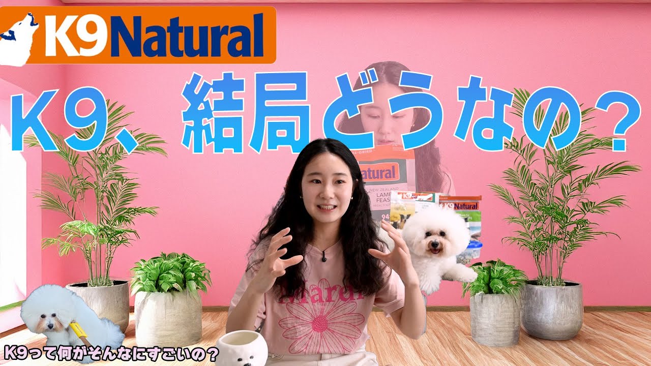 Which Dogs Benefit from K9 Natural? 4 Advantages and 2 Things to