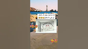 معسل دجاجتين وينو صااحبك شريب اركيلا 