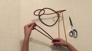 Chewbacca Pipe Cleaner Mickey Ears