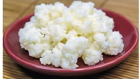Como aumentar o kefir de leite?