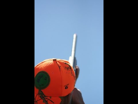 სპორტინგი 2016 წ