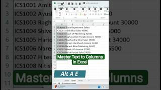 ✅ Master Text to Columns in Excel – Quick Guide #excelhacks