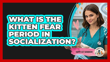 What Is The Kitten Fear Period In Socialization? - Happy Cat Handbook