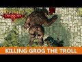 How to kill Gorg the troll at lower level (Divinity Original Sin 2)