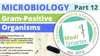 USMLE Step 1 | Microbiology | Gram Positive Bacteria | Part 12