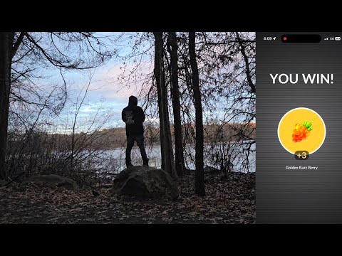 Happy Thanksgiving 😊 