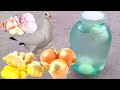 Какую воду даю своим голубям.What kind of water do I give pigeons