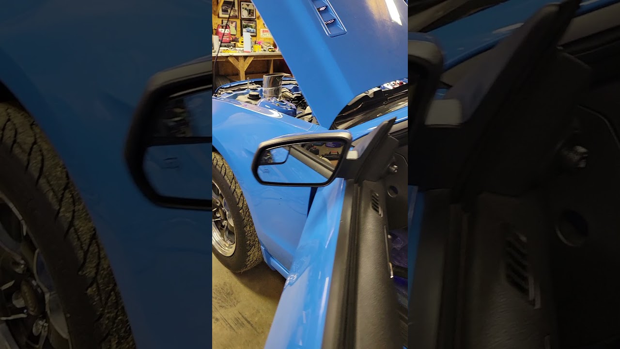 Strangest Sounding Coyote Ever?  180* Header