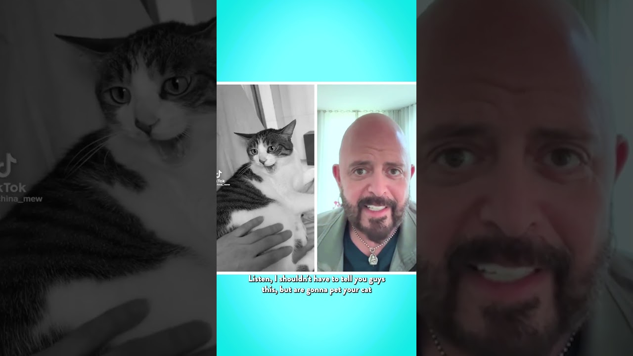 Перевозбуждение! 