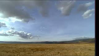 The Future Is Wild Amazon Grasslands part 1 Habitat and Environment