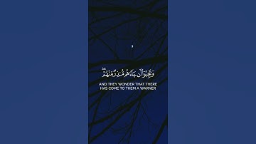 والقرآن ذي الذكر. محمد النقيدان من سورة ص بدون حقوق كرومان.