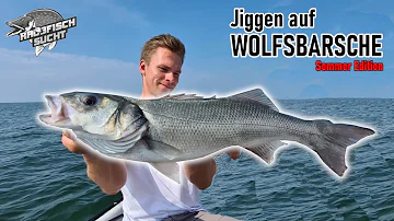 Welche Rolle für Wolfsbarsch?