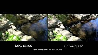 Sony A6500 V Canon 5Div