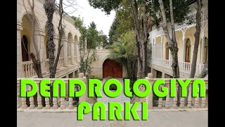 Bizim Teref Dendra Parkı 2020