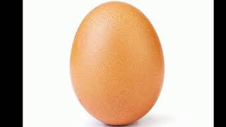 The Daily Egg