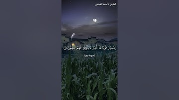حالات واتس اب قرأن كريم// ماتيسر من سورة يس💜