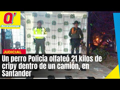 Un perro Policía olfateó 21 kilos de cripy dentro de un camión, en Santander