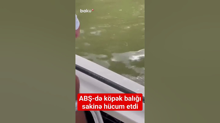 ABŞ-də köpək balığı sakinə hücum etdi