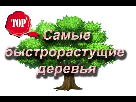 Топ 7 Самые быстрорастущие деревья и растения мира