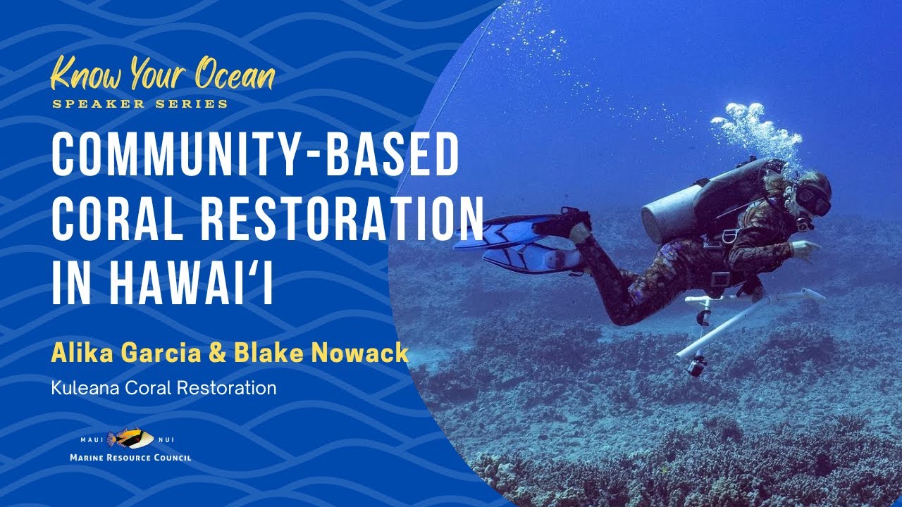 Community Based Coral Restoration in Hawaiʻi