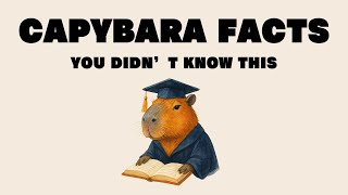 Capybara Facts You Didn’t Know | The World’s Calmest Animal