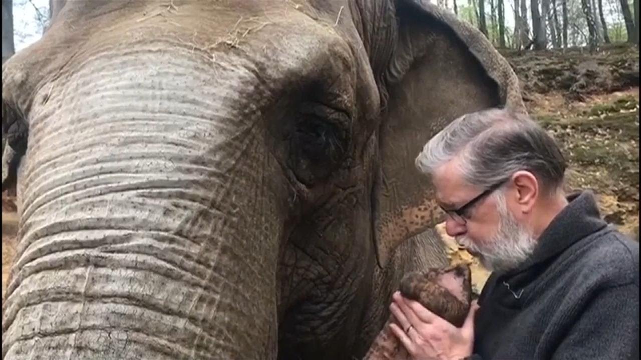 Elephant Reunites With Old Trainer