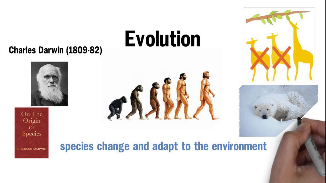 religion-and-science-scientific-theories-about-the-world-and-humanity
