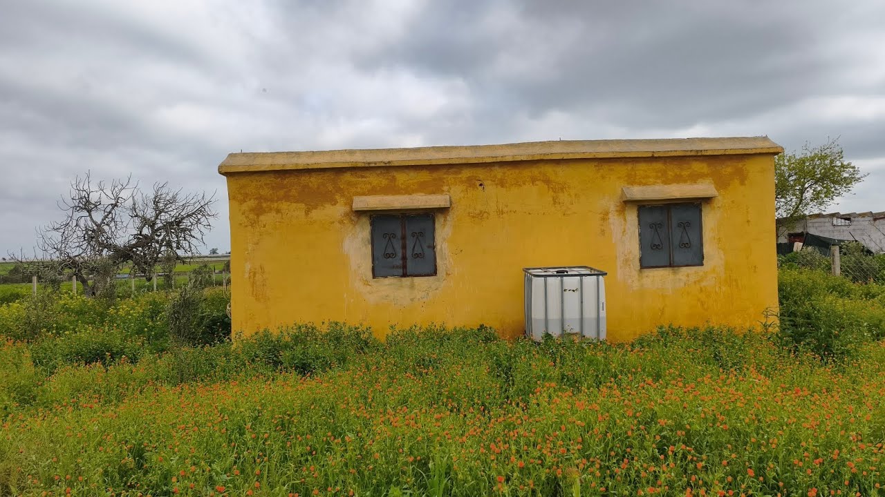 0661467850فيرمة محفظة 2700متر نواحي مدينة ابن سليمان جماعة فضالات 