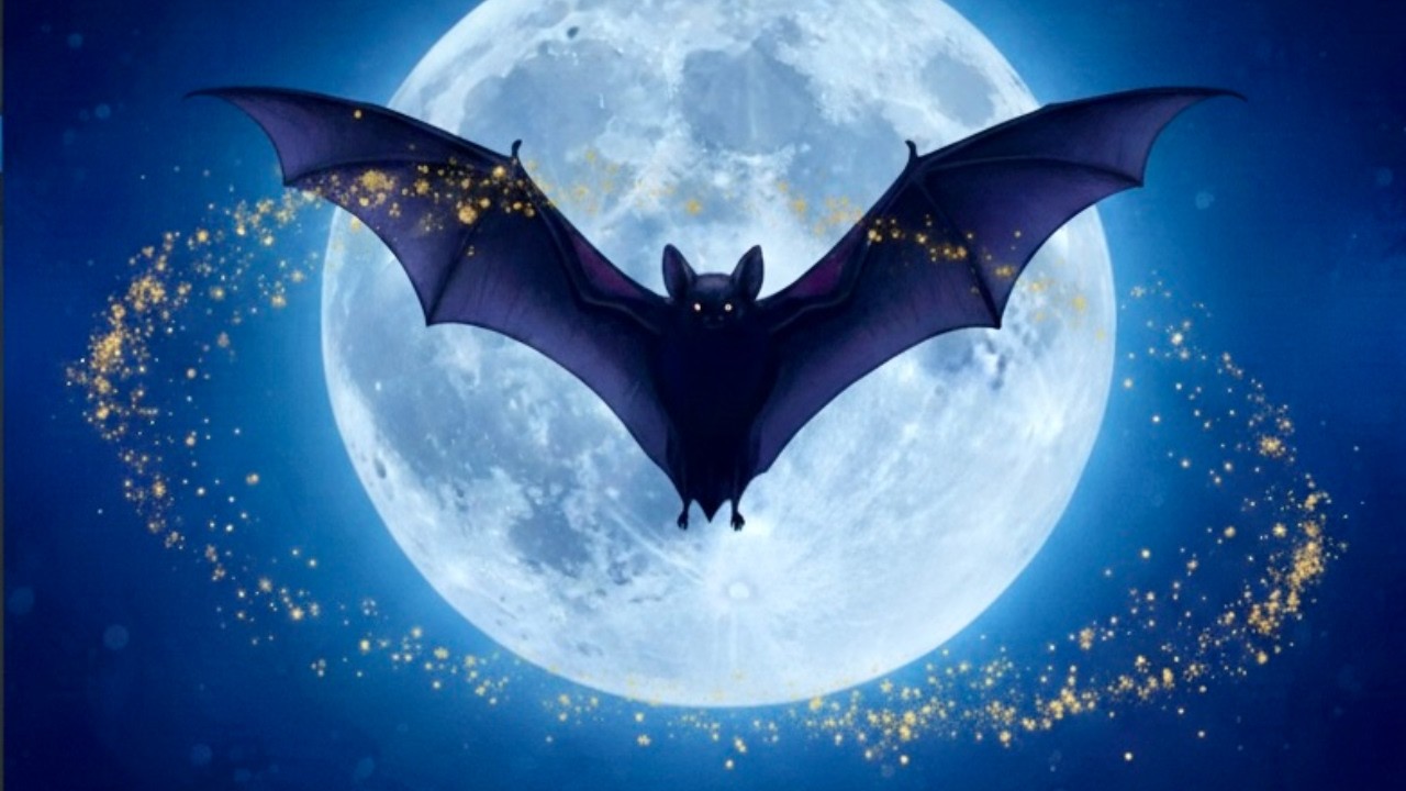 【睡眠雑学】『ウイルスを飼い慣らす、夜の支配者。コウモリの静かなる免疫システム』